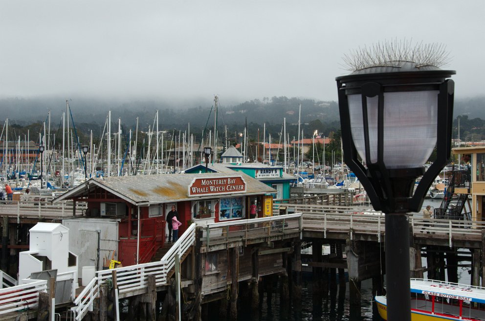 Monterey Municipal Marina